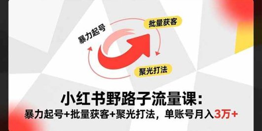 小红书野路子流量课:暴力起号+批量获客+聚光打法,单账号月入3万+