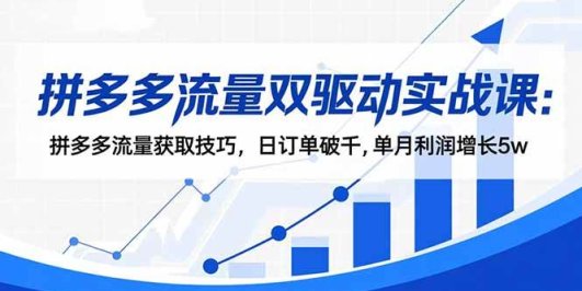 拼多多流量双驱动实战课:拼多多流量获取技巧,日订单破千,单月利润增长5w
