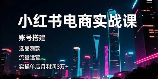 小红书电商实战课,账号搭建,选品测款,流量运营,实操月利润3万+