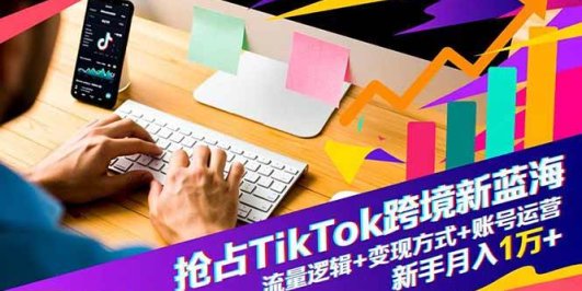 抢占TikTok跨境新蓝海:流量逻辑+变现方式+账号运营,新手月入1万+