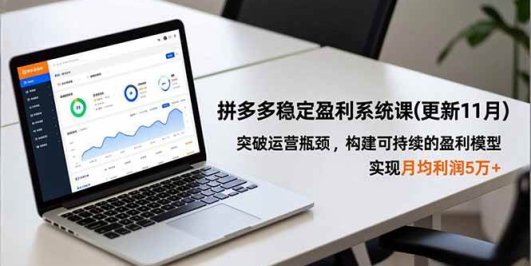 拼多多稳定盈利系统课(更新11月)，突破运营瓶颈，构建可持续的盈利模型，实现月均利润5万+