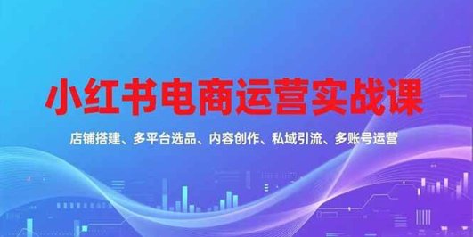 小红书电商运营实战课,店铺搭建、多平台选品、内容创作、私域引流、多账号运营等玩法