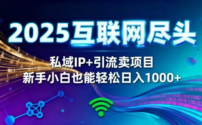 2025网创尽头王炸项目！私域 IP + 精准引流，新手小白在家躺赚日入 1000+