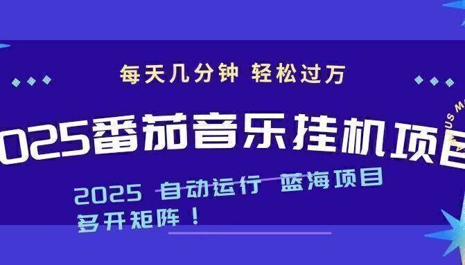 2025最新挂机番茄音乐项目，每天几分钟，日入1000＋