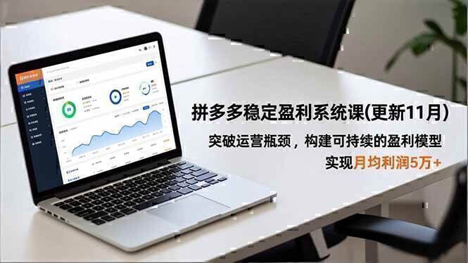 拼多多稳定盈利系统课(更新11月)，突破运营瓶颈，构建可持续的盈利模型，实现月均利润5万+