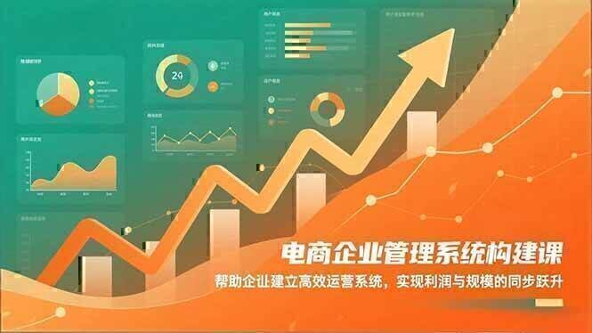 电商企业管理系统构建课：帮助企业建立高效运营系统，实现利润与规模的同步跃升