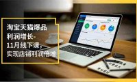 淘宝天猫爆品利润增长-11月线下课,免费流量、付费放大、费比管控,实现店铺利润倍增