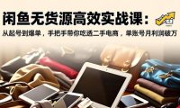 闲鱼无货源高效实战课:从起号到爆单,手把手带你吃透二手电商,单账号月利润破万