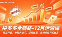 拼多多全链路-12月运营课，爆款打造、卡投产技术、活动破局，店铺单日利润破万