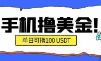 最新手机撸美金项目，单日产值·100U+，将会是2026年最新的风口项目  目前在搞的人比较少