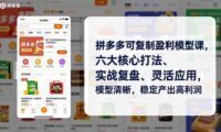 拼多多可复制盈利模型课，六大核心打法、实战复盘、灵活应用，模型清晰，稳定产出高利润