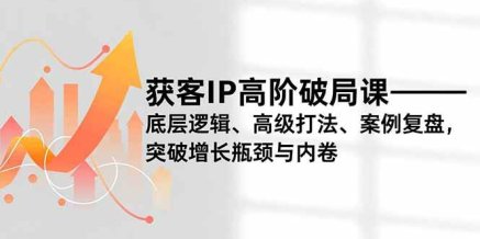 获客IP高阶破局课,底层逻辑、高级打法、案例复盘,突破增长瓶颈与内卷