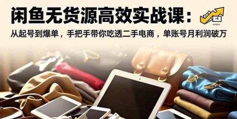 闲鱼无货源高效实战课:从起号到爆单,手把手带你吃透二手电商,单账号月利润破万