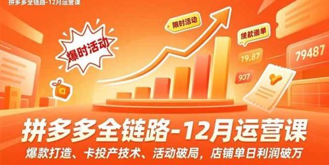 拼多多全链路-12月运营课，爆款打造、卡投产技术、活动破局，店铺单日利润破万