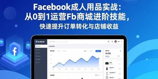 Facebook成人用品实战:从0到1运营Fb商城进阶技能,快速提升订单转化与店铺收益