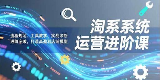 淘系系统运营进阶课2.0，流程规范、工具教学、实战诊断，进阶突破，打造高盈利店铺模型