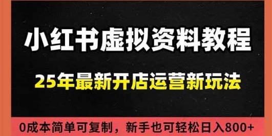 小红书虚拟资料项目:最新搜索流变现玩法,0成本简单可复制,一人多店打法,新手日入800+