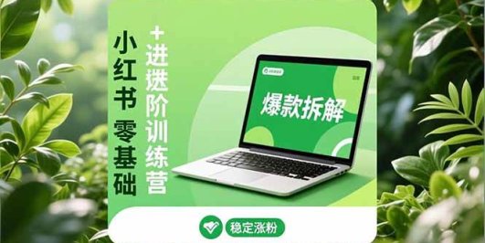 小红书零基础+高阶训练营:安全养号、爆款拆解、长效运营,实现稳定涨粉与变现