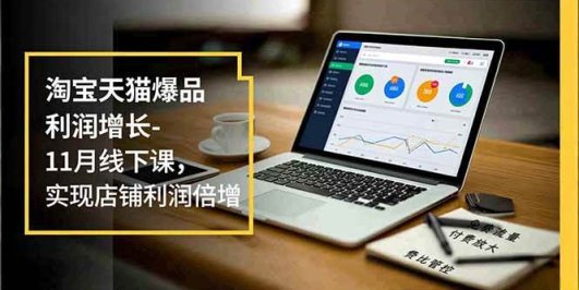 淘宝天猫爆品利润增长-11月线下课，免费流量、付费放大、费比管控，实现店铺利润倍增