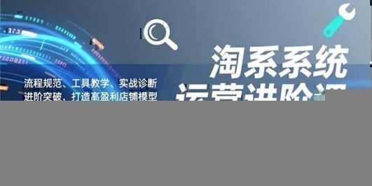淘系系统运营进阶课2.0，流程规范、工具教学、实战诊断，进阶突破，打造高盈利店铺模型