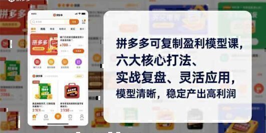 拼多多可复制盈利模型课，六大核心打法、实战复盘、灵活应用，模型清晰，稳定产出高利润