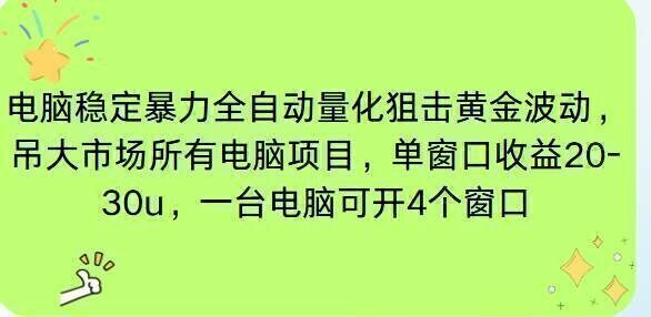 电脑EA策略挂机项目单窗口收益20-30u，单电脑可挂5-10个窗口收益稳健4位数
