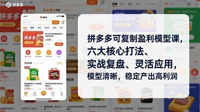 拼多多可复制盈利模型课，六大核心打法、实战复盘、灵活应用，模型清晰，稳定产出高利润