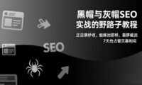 黑帽与灰帽SEO实战的野路子教程：泛目录秒收，蜘蛛池搭桥，霸屏截流，7天抢占首页暴利词
