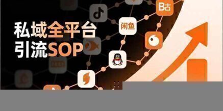 私域全平台引流SOP,抖音/快手/小红书/微信/QQ/B站/闲鱼等,技术合集,高效转化公域流量