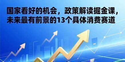 某付费文章:国家看好的机会,政策解读掘金课,未来最有前景的13个具体消费赛道