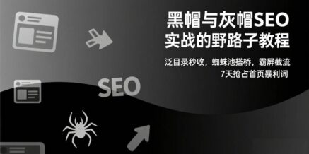 黑帽与灰帽SEO实战的野路子教程：泛目录秒收，蜘蛛池搭桥，霸屏截流，7天抢占首页暴利词