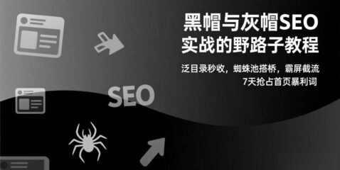 黑帽与灰帽SEO实战的野路子教程：泛目录秒收，蜘蛛池搭桥，霸屏截流，7天抢占首页暴利词