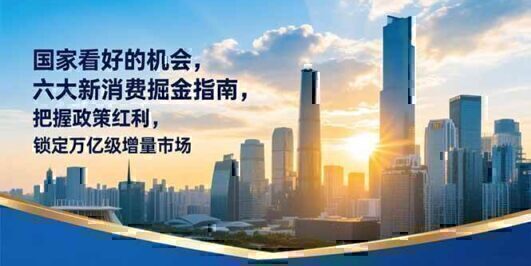 某付费文章：国家看好的机会，六大新消费掘金指南，把握政策红利，锁定万亿级增量市场