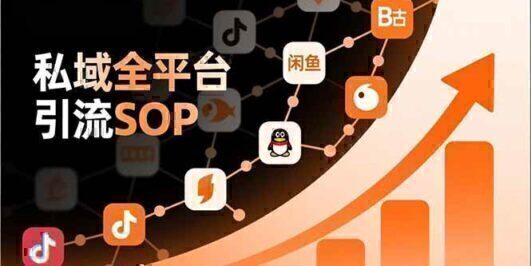 私域全平台引流SOP,抖音/快手/小红书/微信/QQ/B站/闲鱼等,技术合集,高效转化公域流量