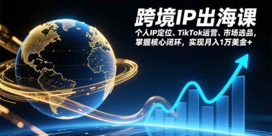 跨境IP出海课，个人IP定位、TikTok运营、市场选品，掌握核心闭环，实现月入1万美金+