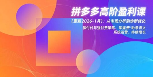 拼多多高阶盈利课(更新2026-1月)：从市场分析到诊断优化、微付费与强付费策略，掌握系统运营