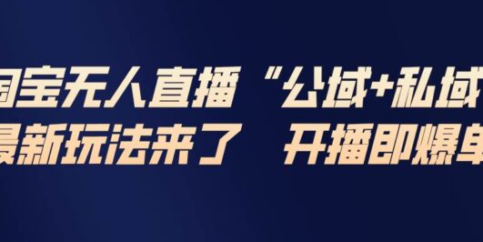 淘宝无人直播最新玩法，包含私域和公域两种玩法