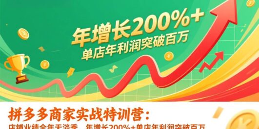 拼多多商家实战特训营：店铺业绩全年无淡季，年增长200%+单店年利润突破百万(26年更新)