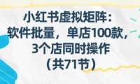 小红书虚拟矩阵:软件批量发笔记,单店100款,3个店同时操作(共71节)